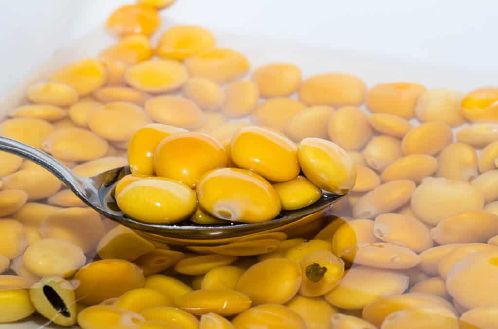 Is Lupin the Next Big Plant Protein? Newly Found Gene in Sweet Lupin Opens Doors for High-Protein Crops